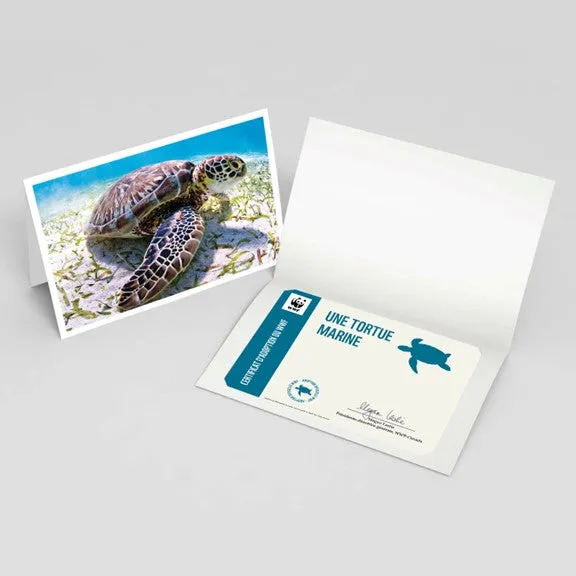 Carte tortue marine